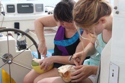 Brazil Women with Coconuts