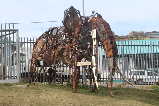 Capetown Mosselbaai Elephant