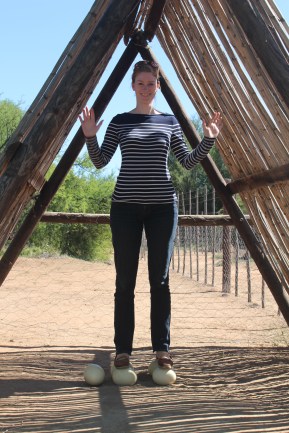 Capetown Ostrich Eggs