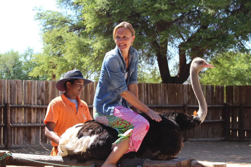 Capetown Ostrich Ride