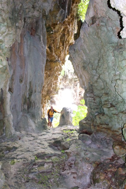 Niue Bob Limestone