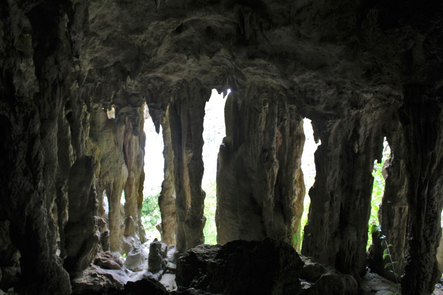 Niue Limestone Shapes2