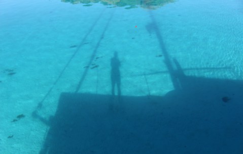 Society Self Portrait