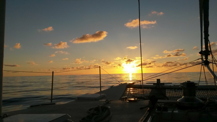 Transpac Sunset
