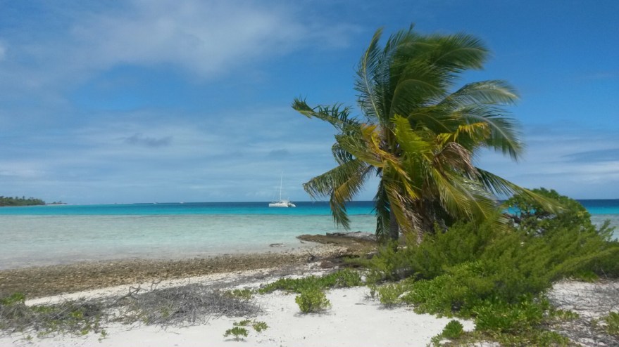 Tuamotu No Regrets2